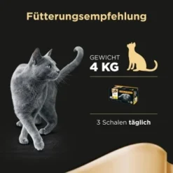 Sheba Selection In Sauce 32x85g 14 Sheba Selection In Sauce 32x85g -Katzen Hundebedarf Geschäft 67890fa30c253ae14afae90d7afce36bf2d4bf55 f3d10d4a2b41518df483944aaa4f3a790f15504c