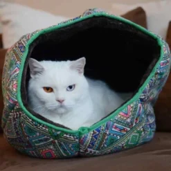 Canadian Cat Company Katzentunnel COSMO M -Katzen Hundebedarf Geschäft 67f448259cbca2b76f0f056d6321e3f462cbbfb2 1412665 de DE 5bb2b25340ddb934c05b11da4b3410ce26fcf1f8fEc8B6