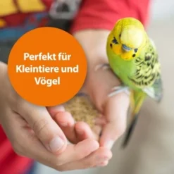 Ardap Milben- Und Zeckenspray Für Nager Und Vögel 100ml -Katzen Hundebedarf Geschäft 68a588b27c2bdeb958613c196e70f41522c1ca73 1352522 de DE 1626057c073e83595c48b5e38365b5bb10e0c4acyC8yCA