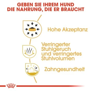 ROYAL CANIN Chihuahua Adult 1,5 Kg 5 ROYAL CANIN Chihuahua Adult 1,5 Kg – Bild 5