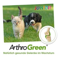 ArthroGreen Junior 25 G -Katzen Hundebedarf Geschäft 6a60d69f3d1c00ba35978cfcbf4d867d243561bc 1674241 de DE bed99a5dadc632a71630f6b3e1df7dd049168828anHF6x
