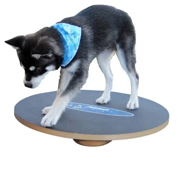 Altranet Fitpaws 20 Wobble Board 1 Altranet Fitpaws 20 Wobble Board