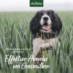 Aniforte Grasmilben-EX Spray Für Hunde 250ml 6 Aniforte Grasmilben-EX Spray Für Hunde 250ml -Katzen Hundebedarf Geschäft 6e1e18b7b0a1d1f59bce3c680af6b1a3c8894f80 1655909 de DE e3905507b4127feea49671bfd5a4aadf453616663qtQ4B