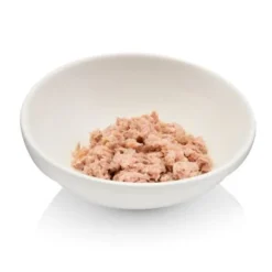 Canadian Cat Company Futterbar Cat Diner -Katzen Hundebedarf Geschäft 7374ea0a9e3fe9347681d73e38cfddf88778c4d9 1345694 de DE 736a30d8934edf90c8b01e1b34a29dff5e81dab2o6VK2t