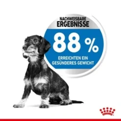 ROYAL CANIN Light Weight Care Mini 8 Kg -Katzen Hundebedarf Geschäft 73cb19432c40af813af2fa667e2cf0db80b7fcb3 97901e2cf1d9e55546584669b98a03adbfbffcda
