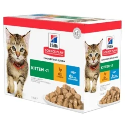 Hill's Science Plan Kitten Multipack Mit Huhn Und Seefisch 12x85 G
