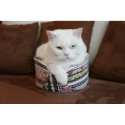 Canadian Cat Company Katzenschiff MAJA -Katzen Hundebedarf Geschäft 766deb875332e5f5e0863d1a2d85001bb4ef9b90 1412668 de DE bd0dc038d80f4f0d2f7a8d881a21a125e897f0d3Dfo1wn