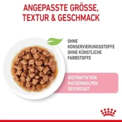 ROYAL CANIN KITTEN STERILISED In Soße 12 X 85g -Katzen Hundebedarf Geschäft 7788943ca3adca2f0652e2721d0ff66dc4a99811 1298264 de DE Kittenster 3