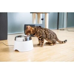 AniOne Edelstahl-Trinkbrunnen Trevi Ohne Ersatzfilter -Katzen Hundebedarf Geschäft 7a066af048695bbfaeca0a855e5984fc3bf99d03 689fcf415d486ac05c07f2a4868b1d087d7a9ece