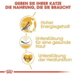 ROYAL CANIN Sphynx Adult 10 Kg -Katzen Hundebedarf Geschäft 7ad1bdc3999349cafae1459c3c182b6552d5adfd b7ee4724e59d51ce320d09e32faae7a8df47303e