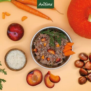 Aniforte FarmsLamb Lamm Mit Kürbis 2,4 Kg 7 Aniforte FarmsLamb Lamm Mit Kürbis 2,4 Kg – Bild 7