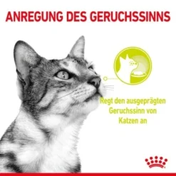 ROYAL CANIN SENSORY Smell In Gelee Für Wählerische Katzen 12x85g -Katzen Hundebedarf Geschäft 8189732b9ae1a398fb4fb109d95a4bf54f9ea43e e98d42f060ba951a9dc658034746788da77dfcfd
