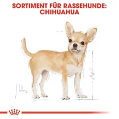 ROYAL CANIN Chihuahua Adult 1,5 Kg 12 ROYAL CANIN Chihuahua Adult 1,5 Kg -Katzen Hundebedarf Geschäft 81d6fd45320cf11ea9703ea9f9a6acc4d62bad27 d0f147b32f1c97a319b7656c093d0d52fe8b2b33
