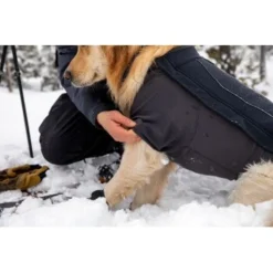 Ruffwear Cloud Chaser™ Hundejacke Schwarz XXS 17 Ruffwear Cloud Chaser™ Hundejacke Schwarz XXS -Katzen Hundebedarf Geschäft 839577c6525280e266f62f99f67ccc111fd75c4b 1369623 de DE 87ed046f15d6c099e4f33a0b92b8494c495a6d97bF4WS9