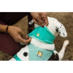 Ruffwear Swamp Cooler™ Kühlendes Halstuch Blau/ Türkis XXS 14 Ruffwear Swamp Cooler™ Kühlendes Halstuch Blau/ Türkis XXS -Katzen Hundebedarf Geschäft 84380b323534f706adb064c5f59bfe1f6f8adfcb 1639914 de DE 09b76313830836f68f333eee06c0a6bd83fbeec4Hirkw3