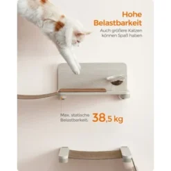 FEANDREA Clickat Katzen-Futterstation Erhöht 7 FEANDREA Clickat Katzen-Futterstation Erhöht -Katzen Hundebedarf Geschäft 872e60080947c3bbed4a42474423d98dea511312 1681429 de DE eb52cddfe415e1f7867b75805347ff5b8a8fc97bQOHhYK