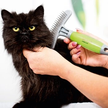 Moser Unterwollrechen 2 Moser Unterwollrechen – Bild 2