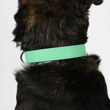 THE DOG IDEA Biothane Halsband Mint Mint S 5 THE DOG IDEA Biothane Halsband Mint Mint S – Bild 5