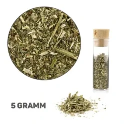 Canadian Cat Company Baldrian & Catnipspielzeug Probierset Spielkissen, 6er Pack -Katzen Hundebedarf Geschäft 9084cda1a3230ea12cfd3db3496e655edf4c93f7 1494153 de DE d37f6841f37369a22fb7b8e5b9b58b803ee3af0dbORigI