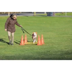 Trixie Dog Activity Hindernisse Ø30x50cm 7 Trixie Dog Activity Hindernisse Ø30x50cm -Katzen Hundebedarf Geschäft 91cbc45b90b8a0cfe868659f3dcf31f8aff28e6a 1287033 de DE Trixie Hindernisse wb 2