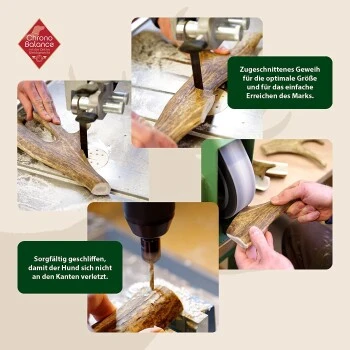 ChronoBalance Kaugeweih Damhirsch (M) 2er Paket 2 ChronoBalance Kaugeweih Damhirsch (M) 2er Paket – Bild 2