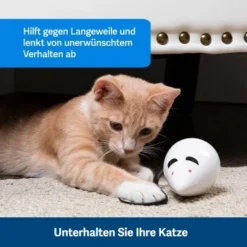 PetSafe Automatisches Katzenspielzeug RoloRat -Katzen Hundebedarf Geschäft 97df3eec34472f4ac76f2a0bbe4e75fdbbe02b64 1351522 de DE 83c2d308e962c4b6c64101ee39311b3a61647f71n2yR1C