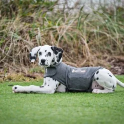 Thundershirt Beruhigungsweste Grau XS 17 Thundershirt Beruhigungsweste Grau XS -Katzen Hundebedarf Geschäft 9b6b99fb9c0e02a64cc609b7ca852c71d17d0d84 1102942 2