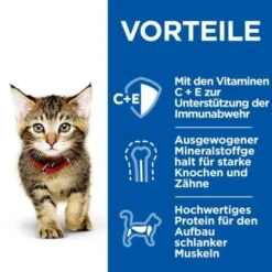 Hill's Science Plan Healthy Cuisine Kitten Ragout Multipack 24x80 G -Katzen Hundebedarf Geschäft 9cc7542d56e101119b2981756afe9af54d6b4d74 1386411 de DE hills 5