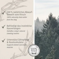 Aniforte Hochland Hirschgeweih Large -Katzen Hundebedarf Geschäft 9dcf0f27be6849c765e8a9e12cd266dd1588a12d 1656976 de DE ac8dd6a0786bd0be0560fc7bc4de242434c219127XG5KZ