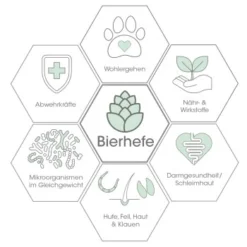 CdVet DurchfallStopp 50 G 6 CdVet DurchfallStopp 50 G -Katzen Hundebedarf Geschäft a184b248ce596597351e5c5a40feff2ca14cfb4a 1350988 de DE 3198de91af10feeb13a2ddfdcf8414d02f49ded2ZZcGeB