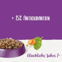 Beneful Purina Glückliche Jahre 7+ Mit Huhn Und Gartengemüse 12 Kg -Katzen Hundebedarf Geschäft a322bc563a902bcbe6b9e9dcff70bdd7889e506a 1373157 de DE purina 2