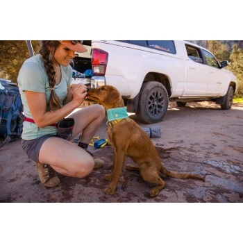 Ruffwear Swamp Cooler™ Kühlendes Halstuch Blau/ Türkis XXS 2 Ruffwear Swamp Cooler™ Kühlendes Halstuch Blau/ Türkis XXS – Bild 2