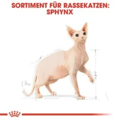 ROYAL CANIN Sphynx Adult 10 Kg -Katzen Hundebedarf Geschäft a8cac64f1ab197f81295c694045c859b936cf469 3d2d3e46b1efb06d8dd5982093aa1fc1a81b6f69