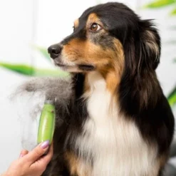 Moser Unterwollrechen 5 Moser Unterwollrechen -Katzen Hundebedarf Geschäft a9457afef8cc9854b1cc05428060e6aca1aa62d7 f209ef3f70da272484eca7394d5156f09925de7d