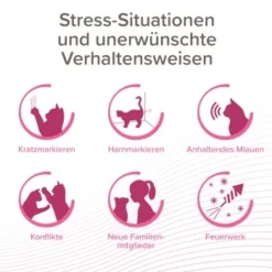 Beaphar CatComfort Excellence Nachfüll-Flakon Für Verdampfer -Katzen Hundebedarf Geschäft aa6740035f99902181a1da29aff4eee13880e36f 1416647 1 2