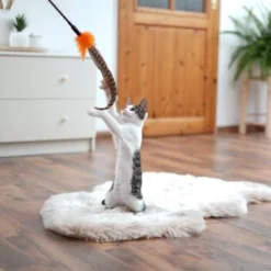 Schlitzohr Federwedel Birdy 3er Pack -Katzen Hundebedarf Geschäft ad71433917b4c75207a76b8cde2a63e28ac6a3f4 1659562 de DE 3439e97a8a6ef7574f0506829a0694961b8792bfHS2VqL