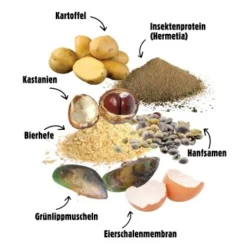 Eat Small EatSmall 20x Snacks Mobility 9 Eat Small EatSmall 20x Snacks Mobility -Katzen Hundebedarf Geschäft ae7102faf33cb331df45f66107b25163c01da13d 1480044 de DE c061c493f5d6cca99df67cb07fe61953e4b50fffsDlyVE