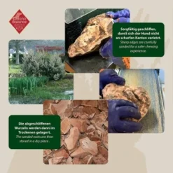 ChronoBalance Kauwurzel Baumheide (M) 2er Paket 8 ChronoBalance Kauwurzel Baumheide (M) 2er Paket -Katzen Hundebedarf Geschäft b06b54c93bd6e51de6c4ae60bb85ff995c53b4df 1418714 de DE ba8b2a31068658c9820512bd79f25900dbe0cd09EnWSEP