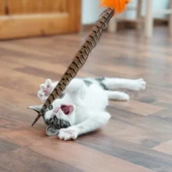 Schlitzohr Federwedel Birdy 3er Pack -Katzen Hundebedarf Geschäft b2468018bd2b888c11ee64154d86732de60c7830 1659562 de DE 7d36675a42a956412d003b03e1f072b0ae0379063UsHBd