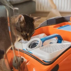 THOMAS AQUA+ Pet & Family -Katzen Hundebedarf Geschäft b29d283b30c65b5964c108db9c904b2f1515a2bd 1408595 de DE b994e116c03c39866ce7571239028dd963780376lYoXei