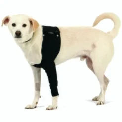 Trovet Suitical Recovery Sleeve XS 8 Trovet Suitical Recovery Sleeve XS -Katzen Hundebedarf Geschäft b58ab3631444989290504c9e8c261d0d2991ec11 90a2a34575ce9c04e66dc515c6b00a0ef65de1b0
