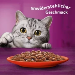 Whiskas Mega Pack 1+ Klassische Auswahl In Sauce 40 X 85g -Katzen Hundebedarf Geschäft b8bf2de8eb7738000e5afc2cec07342be5657174 1410718 de DE Whiskas 6