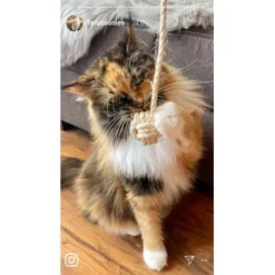 Kater Kasimir Deluxe Set Mit 9 Beliebten Katzenspielzeugen Aus Naturmaterial Und Handgemachtem CATMOM Armband -Katzen Hundebedarf Geschäft b933584b7dcd56603dddd340f05442bfffc43e18 1408141 de DE 8e1afbeea10c4c53b2e3c89a347993a00031803ayqowzr