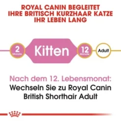 ROYAL CANIN British Shorthair Kitten 2 Kg -Katzen Hundebedarf Geschäft b9dcf6abb7a4919bf6fc18b953f6e6aa3597ecf5 b5fbd35505db68c05c613e1187818406628392a1
