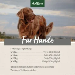 Aniforte RanchHorse Pferd Mit Süßkartoffeln 6 X 800 G 11 Aniforte RanchHorse Pferd Mit Süßkartoffeln 6 X 800 G -Katzen Hundebedarf Geschäft bc4e338fbf56fd793daa37ff086c92aebd8aeab4 1422201 de DE ecf8c646fa9f7a73ce2de360e52f7434941d6424RtLo5O