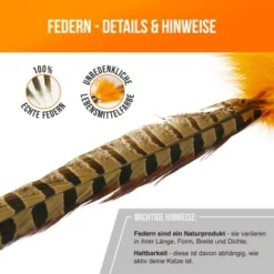 Schlitzohr Federwedel Birdy 3er Pack -Katzen Hundebedarf Geschäft bdc9ecaec43f47b36019280ae7e788c534174412 1659562 de DE 36b11fb8804ed0ab3e1a5483fcd8be597379266daxQShR