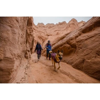 Ruffwear Overcoat Fuse™ Hundejacke Violett XXS 9 Ruffwear Overcoat Fuse™ Hundejacke Violett XXS – Bild 9