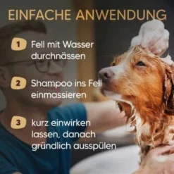 Neue Veröffentlichungen -Katzen Hundebedarf Geschäft be59e8c873c9c55a34a4af87672e3f41c7ec8553 1626204 de DE 0e93cfef805ae9948cc20f31411a0ad2b476eab7e9RNIg