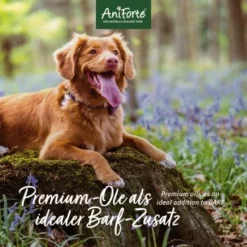 Aniforte Futteröl Premium BARF-Line 1 Liter -Katzen Hundebedarf Geschäft c11fa3ad0ee5c6826c484345380568a056b17d4e 1422212 de DE 471b9cb1eddf1a4e11196a5eee91fabdcb31b23fFEv6G3