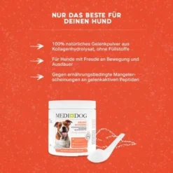 MediDog Gelenkschmiere 6 MediDog Gelenkschmiere -Katzen Hundebedarf Geschäft c2260bdbd924fcc5c3919c27254c4c1dc8dd9d9a 1660407 de DE 24aca3d9f49784b2b40f2e4078cdf1aaa1e37af9iudOQZ